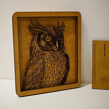 4D Multi-Layer Wooden Owl Art - Home Space Decor