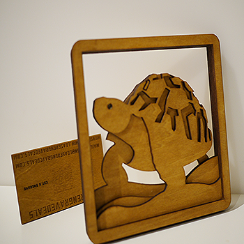 Multi-Layer 4D Tortoise Art - Home Space Decor
