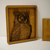 4D Multi-Layer Wooden Owl Art - Home Space Decor